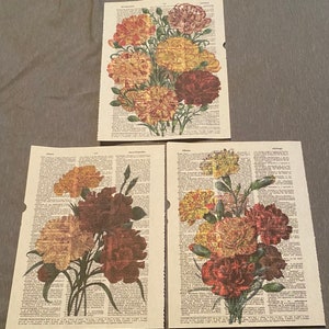 Flower (Carnations) themed dictionary prints