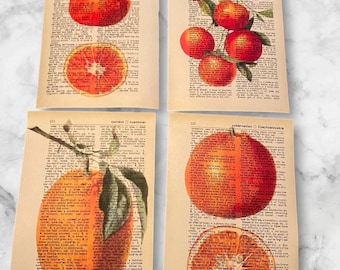 Fruit (Orange) themed dictionary prints