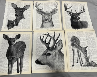 May include: Set of six black and white illustrations of deer printed on vintage dictionary pages. The illustrations feature a variety of deer poses, including a doe with a fawn, a buck with large antlers, and a close-up of a deer's head.