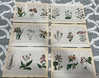 Botanical Floral themed dictionary prints