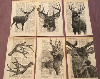 May include: Six vintage prints of deer with antlers, each with a different design and text. The prints are black and white and have a vintage feel.