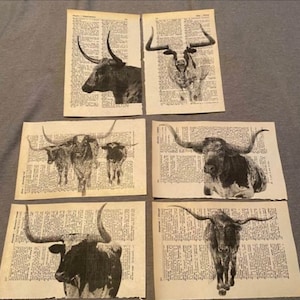 Longhorn themed dictionary prints