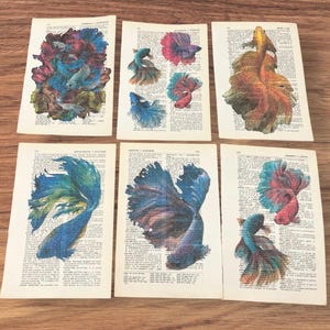 Beta Fish themed dictionary prints