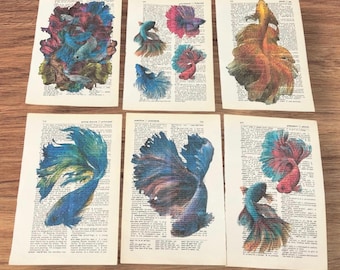 Beta Fish themed dictionary prints