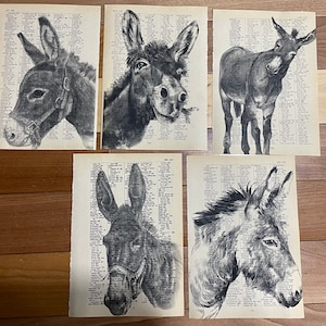 Donkey themed dictionary prints