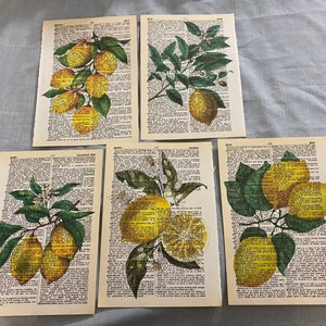 Lemon themed dictionary prints