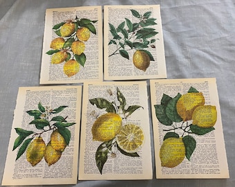 Lemon themed dictionary prints