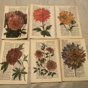 Flower (Dahlia) themed dictionary prints