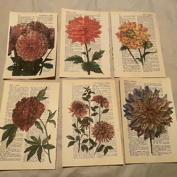 Flower (Dahlia) themed dictionary prints