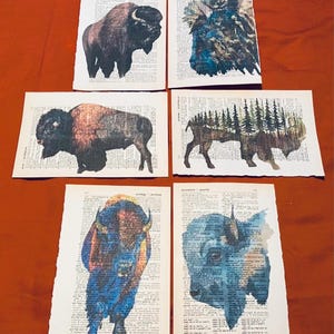 Bison/Buffalo themed dictionary prints