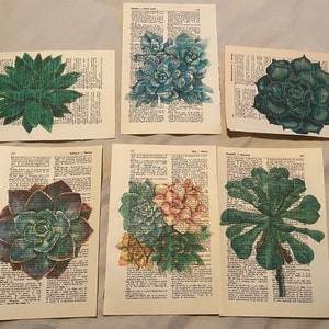 Succulent Plant themed dictionary prints