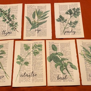 Cooking Herb themed dictionary prints