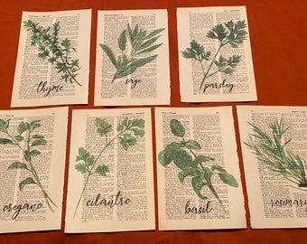 Cooking Herb themed dictionary prints