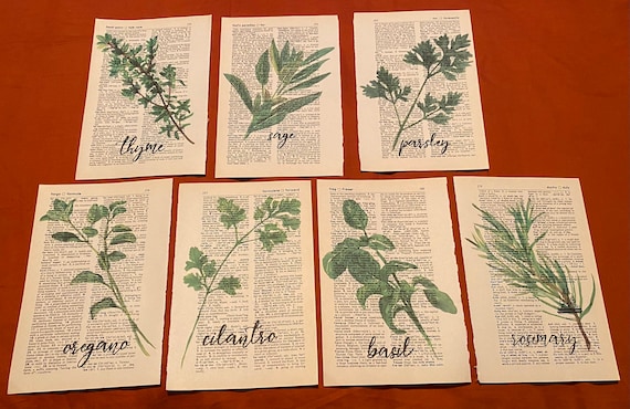Cooking Herb themed dictionary prints