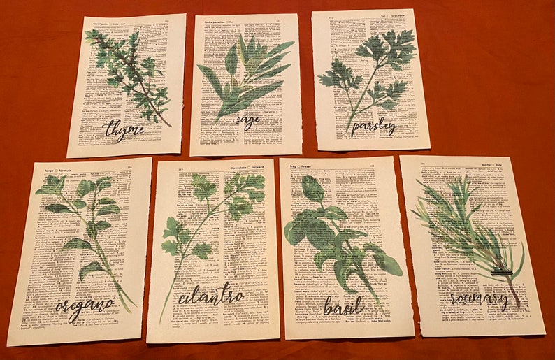 May include: Seven watercolour illustrations of different herbs on dictionary pages. The herbs are oregano, coriander, basil, rosemary, thyme, sage, and parsley. Each herb is labelled with its name in cursive.