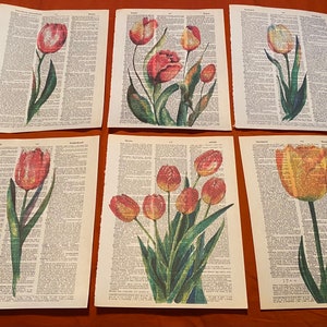 Flower (Tulips) themed dictionary prints