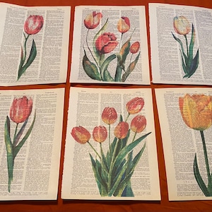 Flower (Tulips) themed dictionary prints