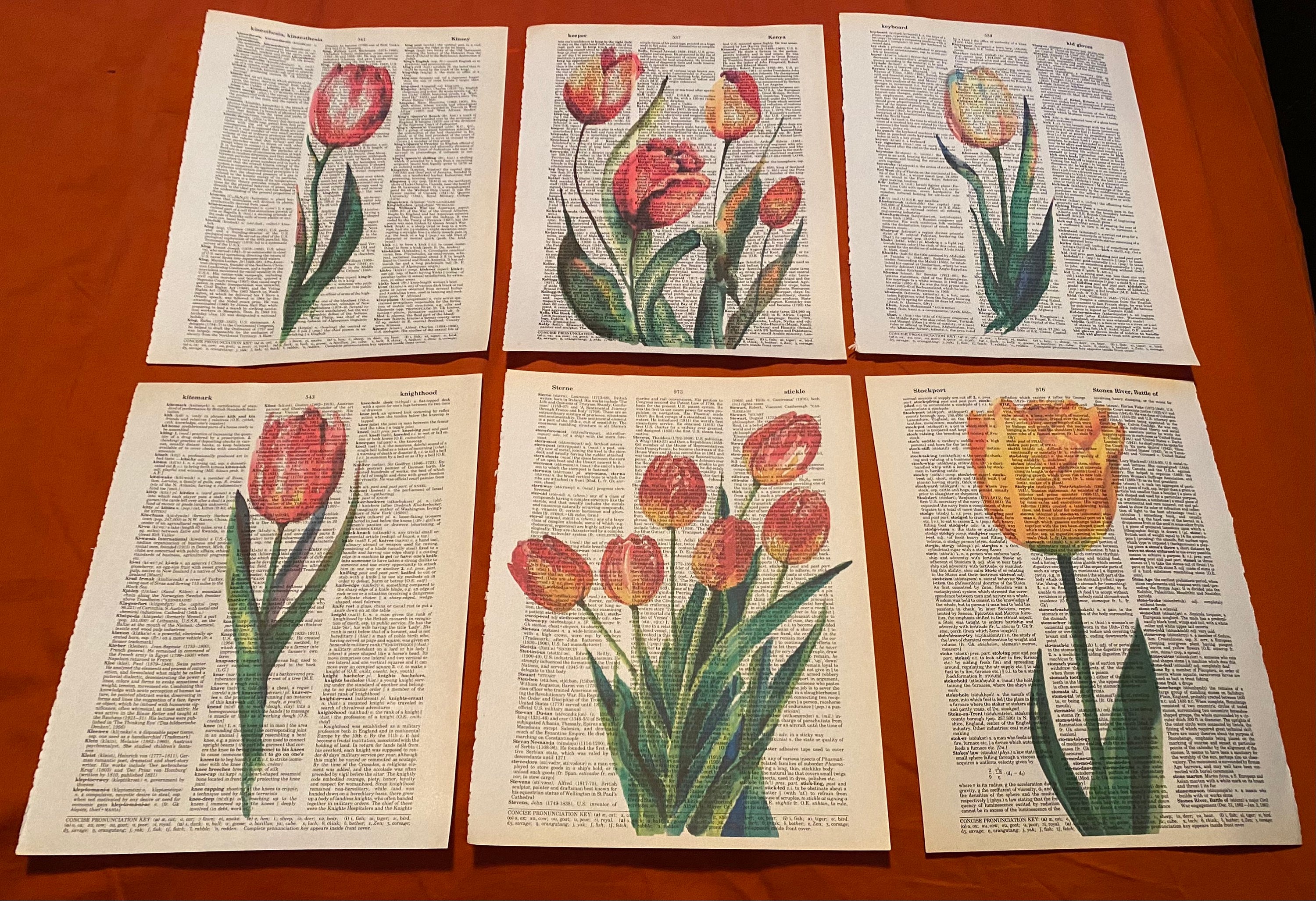 Blumen (Tulpen) Lexikon Drucke