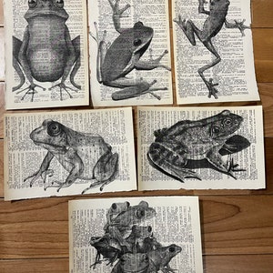 Set of 6 Frog Themed Dictionary Prints