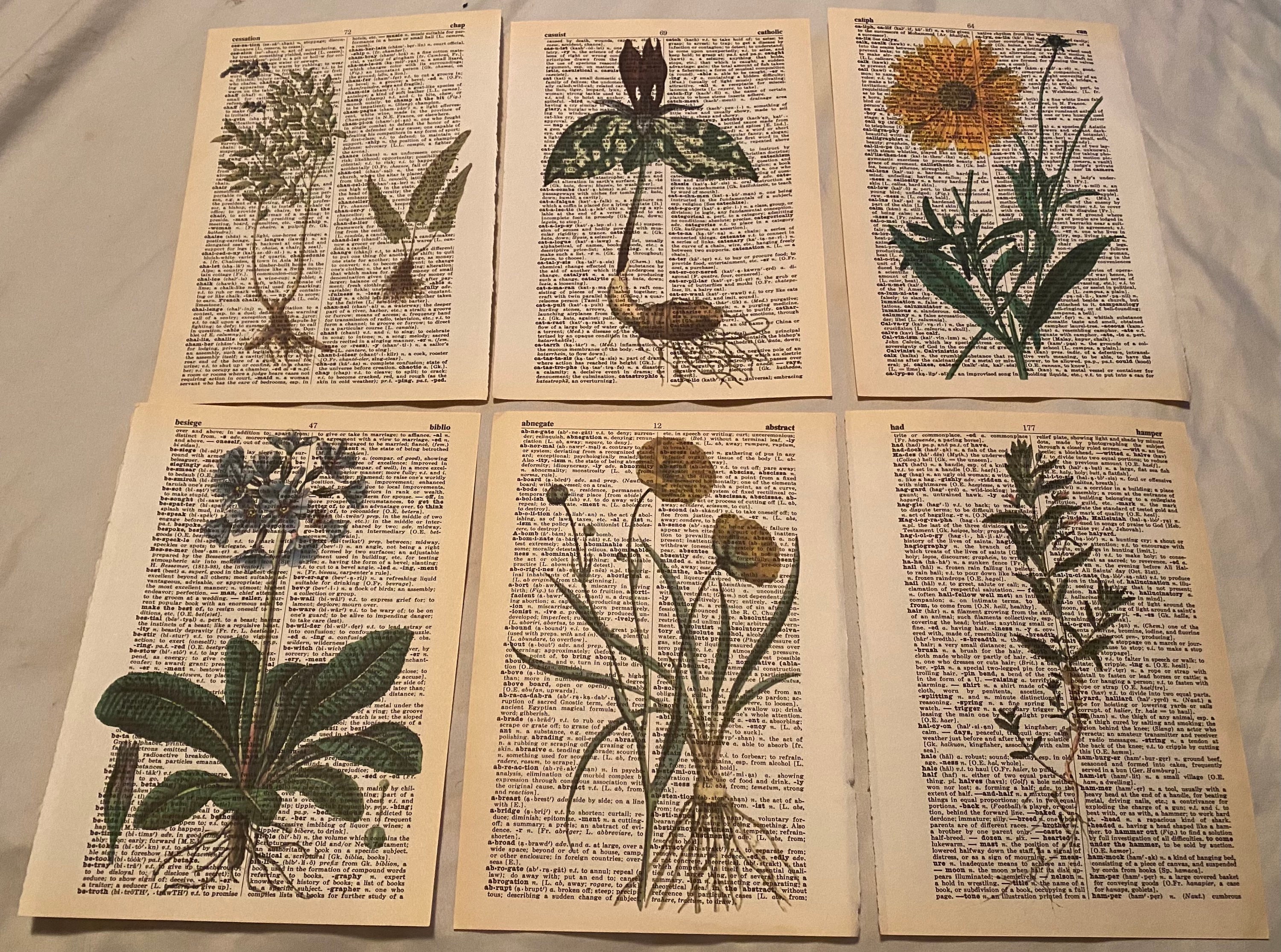 Botanical Floral Themed Dictionary Prints Etsy