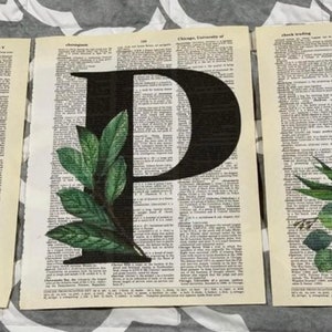 Láminas de diccionario con la letra “P” y temas de plantas