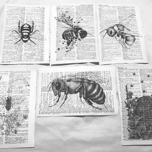 May include: Black and white illustrations of bees and insects are printed on vintage dictionary pages. The artwork includes detailed drawings of bees, a wasp, and a beehive. The pages are arranged on a white surface.