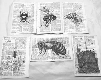 Bee themed dictionary prints