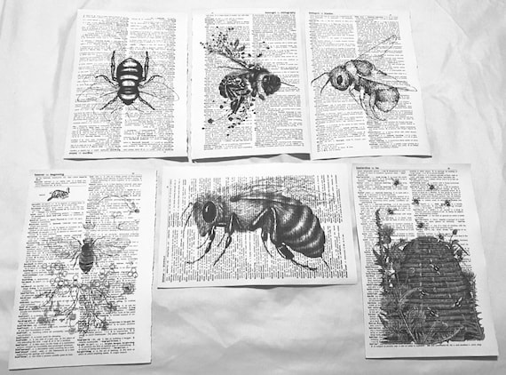 Bee themed dictionary prints
