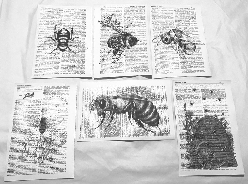 May include: Black and white illustrations of bees and insects are printed on vintage dictionary pages. The artwork includes detailed drawings of bees, a wasp, and a beehive. The pages are arranged on a white surface.