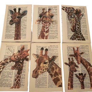 Giraffe themed dictionary prints