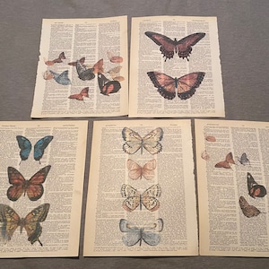 Butterfly themed dictionary prints