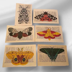 Moth themed dictionary prints