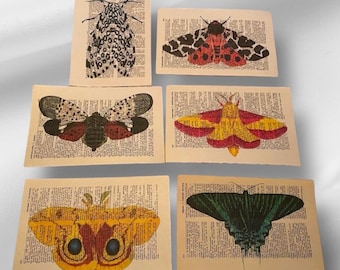 May include: Six vintage-style prints of colorful moths on a beige background. The prints feature a variety of moth species, including a black and white moth, a red and black moth, a yellow and red moth, a yellow and brown moth, and a green and blue moth.