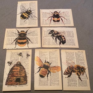 Bee themed dictionary prints