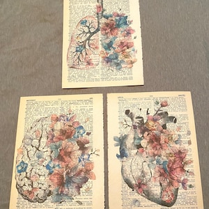Anatomy themed dictionary prints