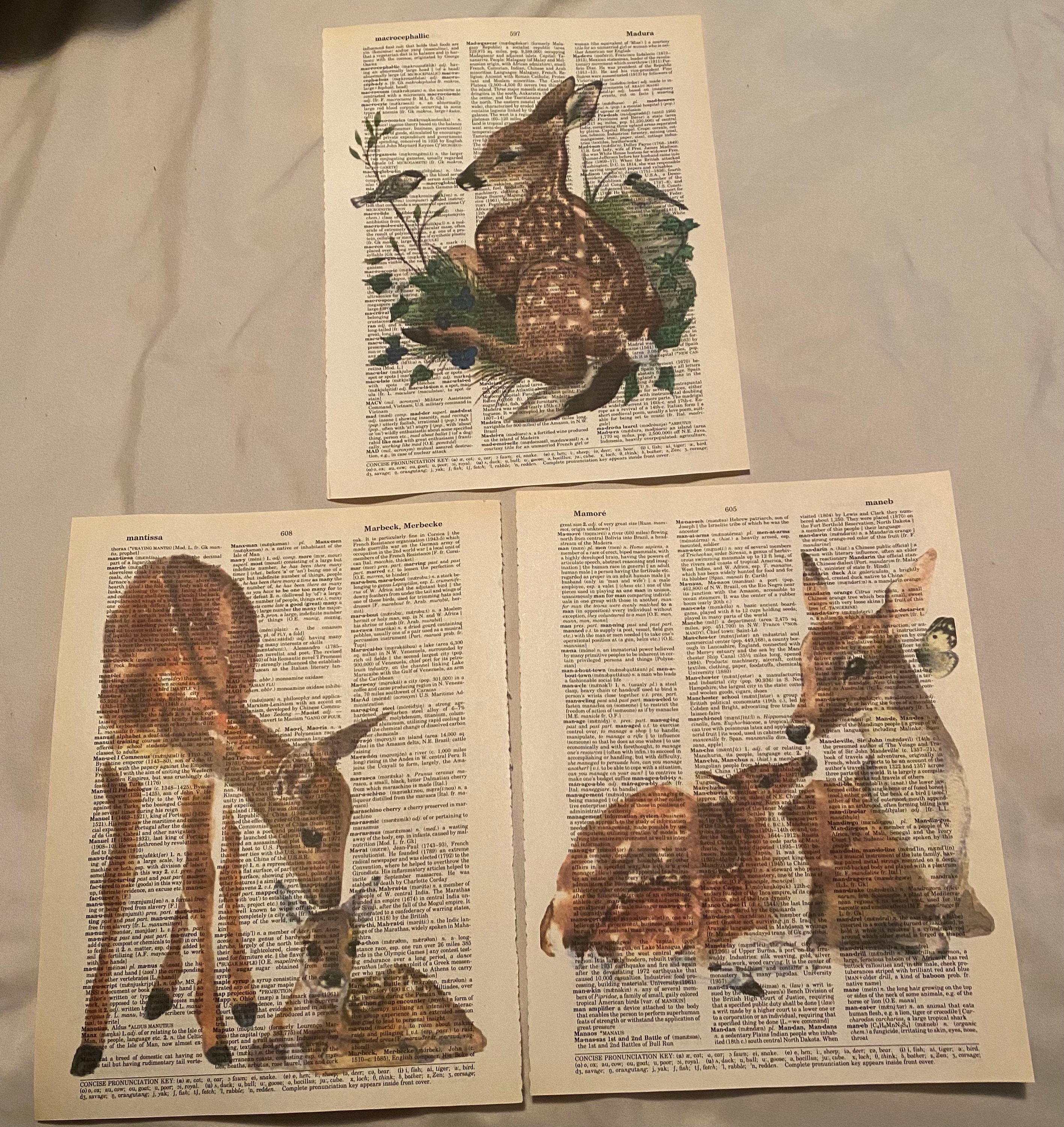 Deer fawn Themed Dictionary Prints - Etsy