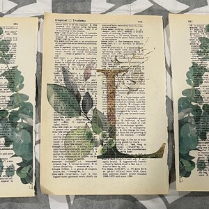 Láminas de diccionario con temática de plantas y la letra “L”