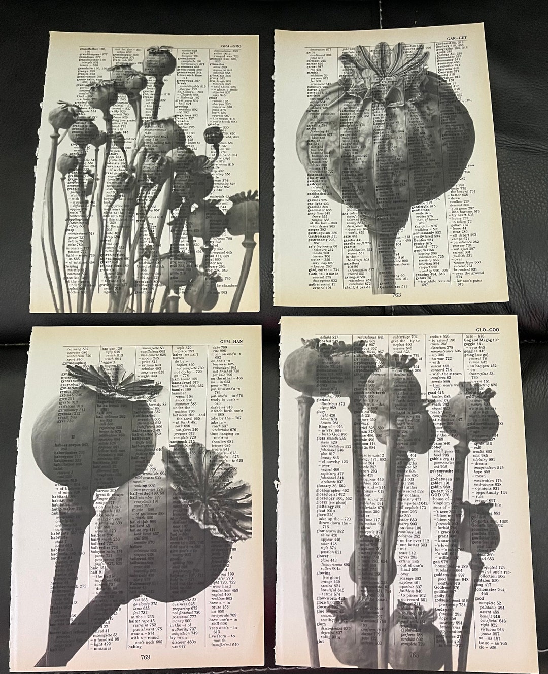 Poppy Plant Themed Dictionary Prints Etsy