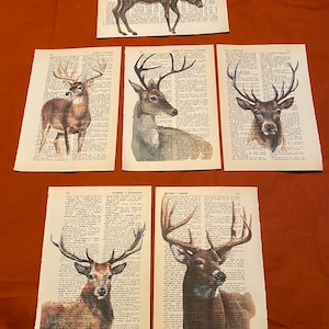 Deer themed dictionary prints