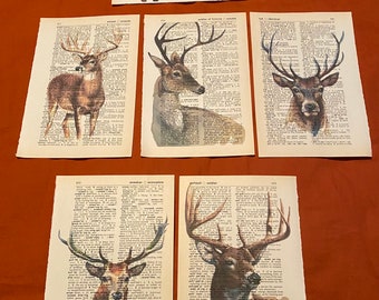 Deer themed dictionary prints