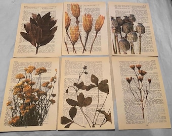 Flower Themed dictionary prints