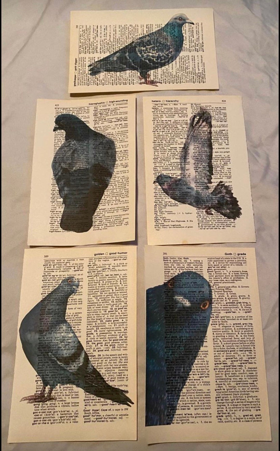 Pigeon Themed Dictionary Prints Etsy