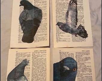 Pigeon themed dictionary prints