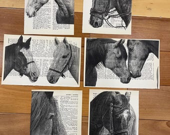 Horse themed dictionary prints