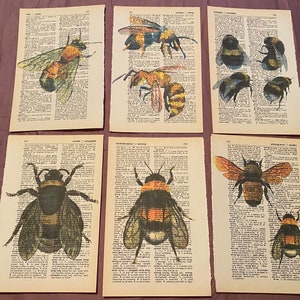 Bee Themed dictionary prints