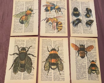 Bee Themed dictionary prints