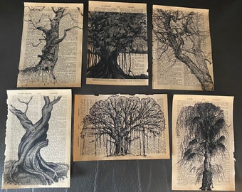 Tree themed dictionary prints