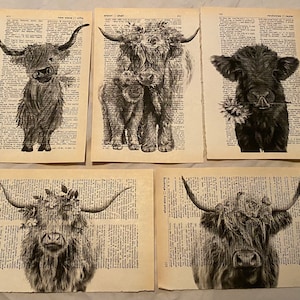 Stampe di dizionario a tema mucca delle Highlands