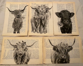 May include: Five black and white illustrations of Highland cattle printed on vintage dictionary pages. The cattle are depicted in various poses, including standing, lying down, and looking at the viewer. The illustrations are surrounded by text from the dictionary pages.