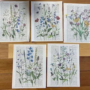 Woordenboekafdrukken met wilde bloemen